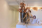 salon-5
